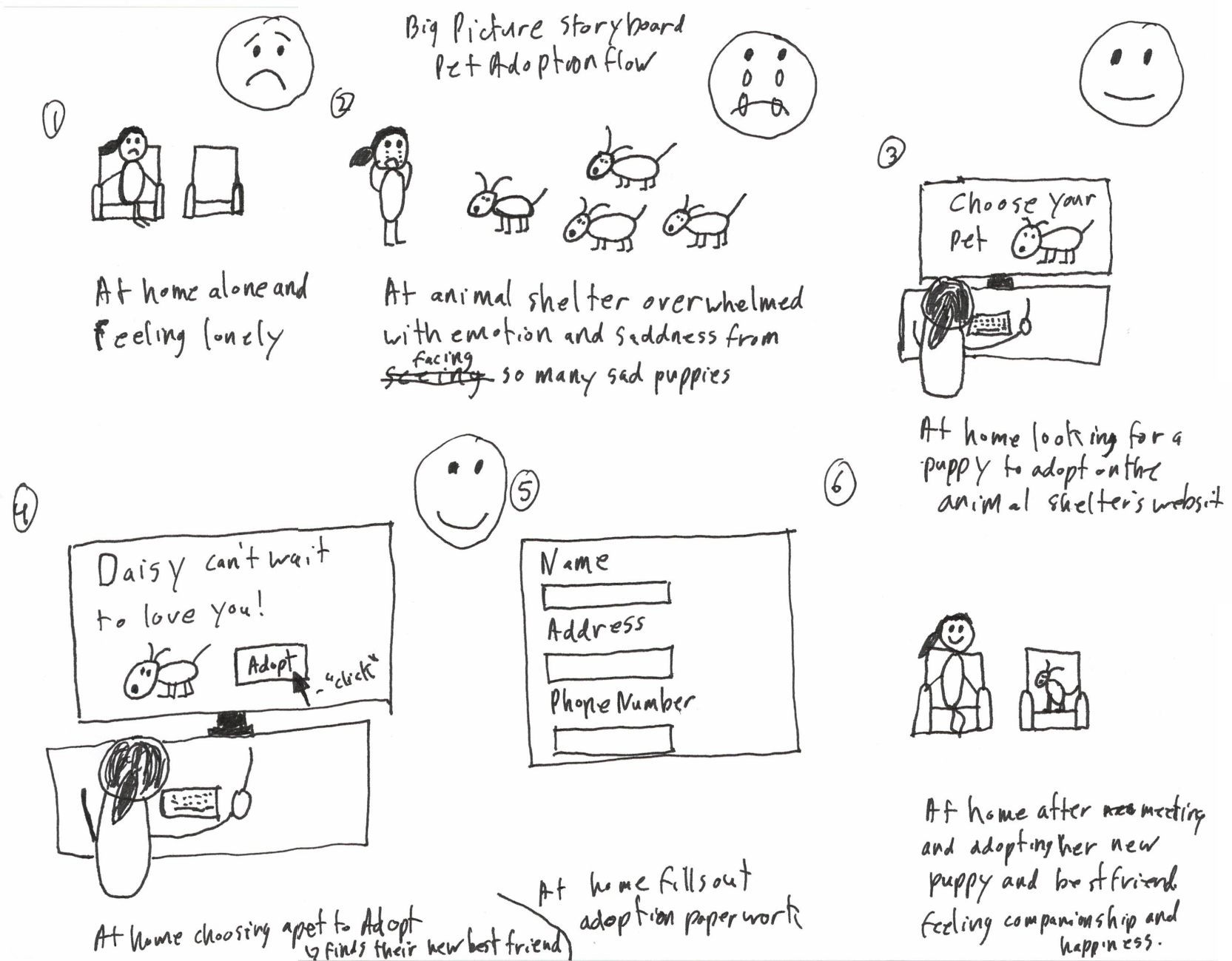 A big picture storyboard. Used to show the pet adoption process from the pet adopter's perspective.